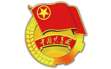 2024年团支部书记述职报告模板8篇