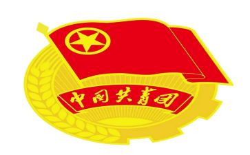 2024年团支部书记述职报告5篇