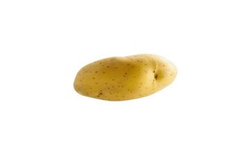 削土豆教案5篇