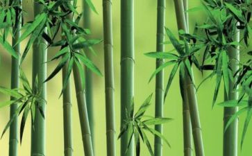 草托物言志的作文5篇