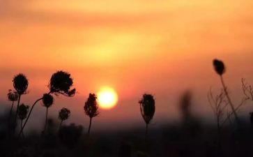 关于忘我的作文800字5篇