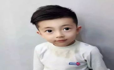 从小王子心得体会通用6篇