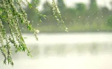 微风作文优秀8篇