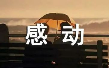 感动的事的作文7篇