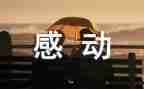 感动的事的作文7篇