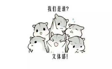 文体周的心得体会7篇