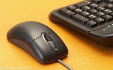 文员年终报告工作总结6篇