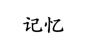 他留在我的记忆中作文600字7篇