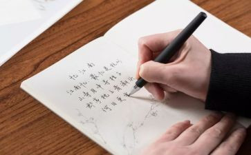雪牵动我的情思作文600字5篇