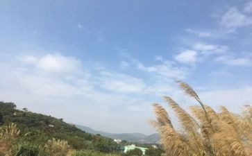 作文我的一天作文精选8篇