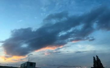 我的一天600字作文7篇