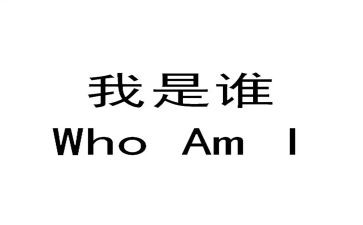 我是谁小学作文模板8篇