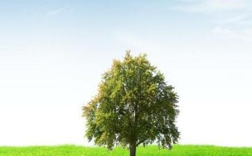 我在变作文800字优质5篇