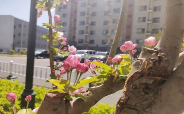 我在变作文300字作文5篇