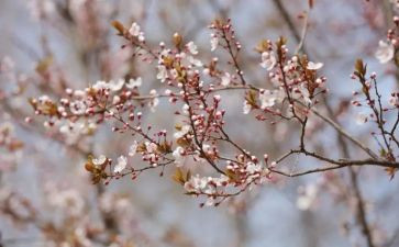 我在变作文300字作文模板5篇