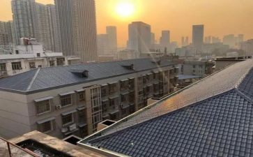 我想握住你的作文最新6篇