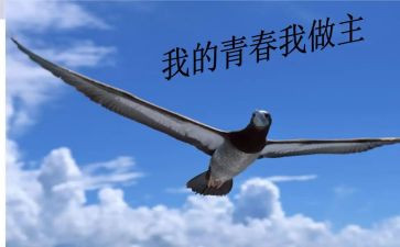 我人生我做主作文7篇