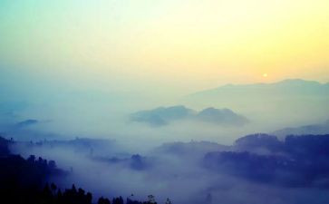 雾霾的调查报告优秀8篇