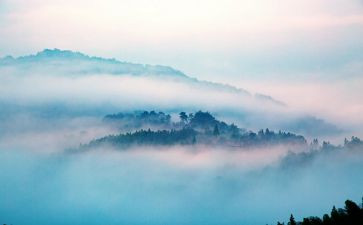 大班科学雾和霾教学反思模板5篇