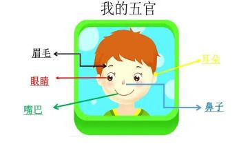 描写五官的作文7篇