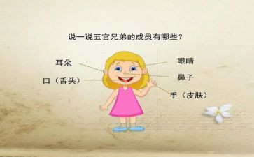 五官作文儿300字8篇