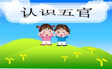 五官作文儿300字最新5篇