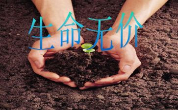 无价作文600字8篇