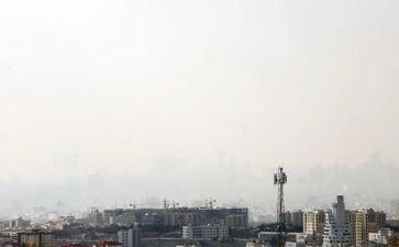 环境被污染的调查报告范文7篇