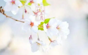 幼儿园中班五月计划7篇