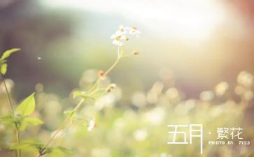 五月保育工作计划5篇