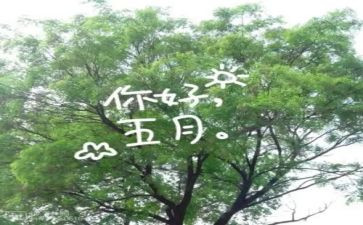行政的五月份工作计划5篇