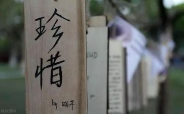 珍惜一感恩的演讲稿7篇