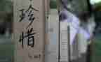 珍惜资源的演讲稿6篇