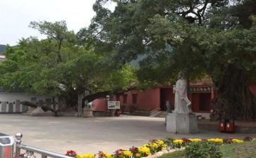 乡镇府干部述职报告6篇