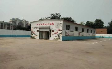2023年乡镇文化站工作计划5篇