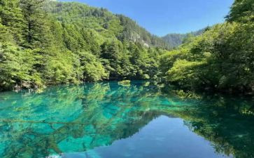 汉?c先生读后感优质7篇