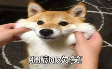 给她一个微笑作文600字5篇