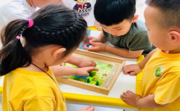 202幼儿小班工作总结模板8篇