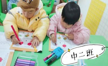 幼儿班小班教学计划优质8篇