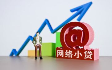 小贷公司年工作总结6篇
