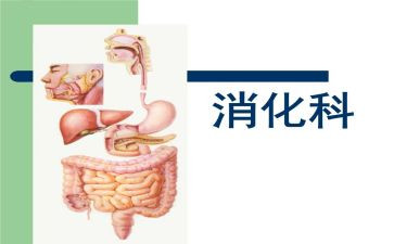 内一消化科自我鉴定6篇