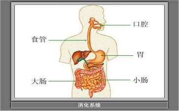 在消化科的心得体会6篇