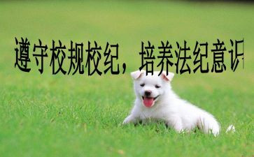 学校纪律教育活动方案7篇