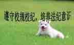 学校纪律活动方案7篇