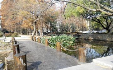 校内实习报告范文6篇
