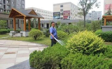 小区物业管理调查报告5篇