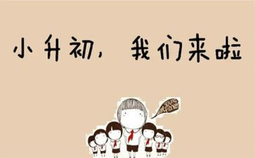 小升初心得体会6篇