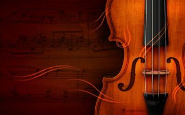 小提琴的教案最新8篇