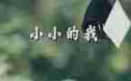 小小的我,作文推荐7篇