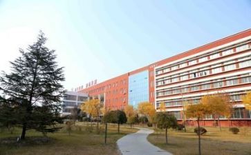 校园安全总结通用8篇